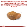 Роял Канин БРИТАНСКАЯ КОРОТКОШЕРСТНАЯ сухой корм для кошек породы британская короткошерстная,  2кг, ROYAL CANIN British Shorthair