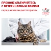 Роял Канин РЕНАЛ лечебный влажный корм для кошек, кусочки в соусе с говядиной, 85г, ROYAL CANIN Renal