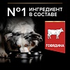 Про План ДУО ДЕЛИС сухой корм для взрослых собак средних и крупных пород, с двойной текстурой гранул, с говядиной,  2,5кг, PRO PLAN Duo Delice Medium & Large