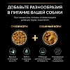 Про План СМОЛЛ МИНИ ЭДАЛТ СЕНСИТИВ сухой корм для собак мелких пород, с ягненком, 3кг + 800г в подарок, PRO PLAN Small & Mini Adult Sensitive Digestion 