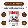 Ванпи Дог лакомство для собак ЛАКОМЫЕ КУСОЧКИ в форме рыбок с лососем, 100г, WANPY Dog