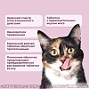 МИЛПРАЗОН препарат антигельминтный для кошек весом от 2кг, таблетки со вкусом мяса, 2 таблетки, KRKA Milprazon