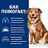 Хиллс ДЕРМ КОМПЛИТ лечебный влажный корм для собак для поддержания здоровья кожи и шерсти при аллергии, 200г, HILL'S Prescription Diet Derm Complete 