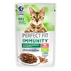 Перфект Фит ИММУНИТИ влажный корм для кошек для поддержки иммунитета, с говядиной и семенами льна в желе, 75г, PERFECT FIT Immunity  