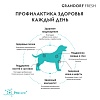 Грандорф Фреш ЭДАЛТ МЕДИУМ МАКСИ беззерновой корм с живыми пробиотиками для собак средних и крупных пород, свежее филе лосося с бататом, 10кг, GRANDORF FRESH Adult Medium & Maxi