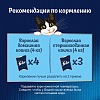 Феликс АППЕТИТНЫЕ КУСОЧКИ влажный корм для кошек с курицей и томатами, кусочки в желе, 75г, FELIX