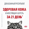 Роял Канин ХЭЙР ЭНД СКИН КЕА сухой корм для кошек для поддержания здоровья кожи и шерсти,  2кг, ROYAL CANIN Hair & Skin Care