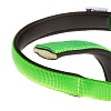 Ошейник для собак ДАЙТОНА с неопреновой подкладкой, 20мм/43см, салатовый, 75246923, FERPLAST Daytona C