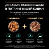 Про План ЭДАЛТ влажный корм для взрослых кошек, с говядиной в соусе, 85г, PRO PLAN Adult Maintenance