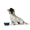 Миска для животных Хантер ЭЙБИ 550мл, синяя, керамика, 68649, HUNTER Ceramic Bowl Eiby