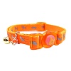 Ошейник для кошек со светоотражающими элементами, 11мм/19-31см, оранжевый, нейлон, 641249, JAPAN PREMIUM PET