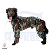 Комбинезон для собаки БУЛЬМАСТИФ, дождевик - камуфляж, без подкладки, на кобеля, длина спины 66см, обхват груди 104см, ТУЗИК
