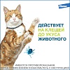 ФОРЕСТО ошейник от клещей и блох для кошек, 38см, ELANCO Foresto