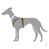 Шлейка для собак Хантер МЭЛДОН, размер XS, 15мм/34-49см, оранжевая/серая, нейлон/полиэстер, 67515, HUNTER Maldon 