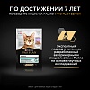 Про План ЭДАЛТ влажный корм для взрослых кошек, с индейкой в желе, 85г, PRO PLAN Adult Maintenance