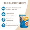 Мнямс влажный корм для кошек для красивой шерсти, кусочки в соусе с форелью, 85г