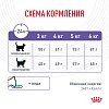 Роял Канин АППЕТАЙТ КОНТРОЛ КЕА сухой корм для кошек для контроля аппетита 2кг, ROYAL CANIN APPETITE CONTROL