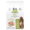 Брит Кеа ХЕЛСИ СКИН/ШАЙНИ КОАТ сухой корм для собак средних пород для здоровья кожи и шерсти, с лососем и индейкой, 12кг, BRIT CARE Healthy Skin&Shiny Coat