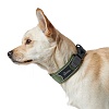 Ошейник для собак Хантер ДИВО, размер L, 45мм/45-55см, зеленый/серый, нейлон/полиэстер, 67597, HUNTER Divo 