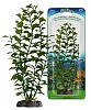 Растение ЛЮДВИГИЯ ЗЕЛЕНАЯ 34см с Грузом пластик P12ELH PENN-PLAX