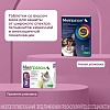 МИЛПРАЗОН препарат антигельминтный для кошек весом от 2кг, таблетки со вкусом мяса, 2 таблетки, KRKA Milprazon