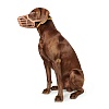 Намордник для собак Хантер №2, обхват морды до 22см, бежевый, пластик, 92494, HUNTER Plastic Muzzle