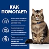 Хиллс ГАСТРОИНТЕСТИНАЛ БИОМ лечебный влажный корм для кошек при расстройстве ЖКТ и для поддержки микробиома кишечника, 85г, HILL'S Prescription Diet Gastrointestinal Biome 