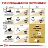 Роял Канин СИБИРСКАЯ сухой корм для кошек Сибирской породы,  400г, ROYAL CANIN Siberian