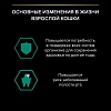 Про План ЭДАЛТ влажный корм для взрослых кошек, с ягненком в желе, 85г, PRO PLAN Adult Maintenance