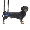 Поддержка задних конечностей для собак, размер M, 161572, KRUUSE Walkabout Lifting Harness