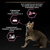 Про План СТЕРИЛАЙЗД ДЕЛИКАТ сухой корм для стерилизованных кошек с чувствительным пищеварением, с курицей, 1,5кг + 400г в подарок! PRO PLAN Sterilised Delicate Digestion