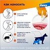 АДВОКАТ капли на холку от блох, чесоточных клещей и круглых гельминтов для собак от 4 до 10кг, 3 пипетки, ELANCO Advocate