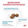 Роял Канин ГИПОАЛЛЕРДЖЕНИК лечебный сухой корм для собак,  2кг, ROYAL CANIN Hypoallergenic 