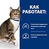 Хиллс S/D УРИНАРИ КЕА лечебный влажный корм для кошек для растворения струвитов, кусочки в соусе с курицей, 85г, HILL'S Prescription Diet S/D Urinary Care