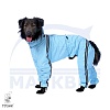 Комбинезон для собаки ДОБЕРМАН, спортивный дождевик без подкладки, на суку, длина спины 62см, обхват груди 88см, ТУЗИК