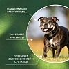 ПроФито СЕНЬОР САППОРТ кормовая добавка для пожилых собак, 100 таблеток, ProPhyto Senior Support