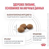 Роял Канин ГЕПАТИК лечебный сухой корм для собак,  6кг, ROYAL CANIN Hepatic