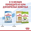 Роял Канин ИКС-СМОЛЛ ПАППИ сухой корм для щенков миниатюрных пород,  500г, ROYAL CANIN Х-Small Puppy