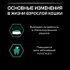 Про План ЭДАЛТ влажный корм для взрослых кошек, с говядиной в соусе, 85г, PRO PLAN Adult Maintenance