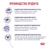 Роял Канин НЬЮТРИД МЭЙНТЕНЭНС диетический влажный корм для кастрированных котов и кошек, кусочки в соусе, 85г, ROYAL CANIN Neutered Maintenance