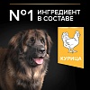Про План ЛАДЖ РОБУСТ ЭДАЛТ сухой корм для собак крупных пород с мощным телосложением, с курицей, 14кг, PRO PLAN Large Robust Adult