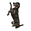 Ошейник для собак Хантер КАНАДИАН 45, 28мм/33-39см, рыжий/черный, натуральная кожа лося, 42785, HUNTER Canadian