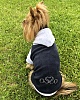 Толстовка для собак из велюра с капюшоном, размер 30, длина 24-25см, обхват груди 37-39см, графит/серая, Твк-1005, OSSO Fashion