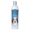 Био-Грум ГРУМЭН ФРЕШ шампунь дезодорирующий, 355мл, BIO-GROOM Groom'n Fresh Shampoo 
