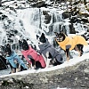 Попона утепленная для собак Хуртта ЭКСПЕДИШН ПАРКА 45, длина спины 45см, объем груди 45-80см, графит, полиэстер, 933695, HURTTA Expedition Parka