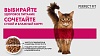 Перфект Фит ЭДАЛТ влажный корм для кошек с говядиной в соусе, 75г, PERFECT FIT Adult 