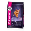 Эукануба сухой корм для щенков мелких пород с птицей,   800г, EUKANUBA Puppy Small Breed 