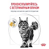 Роял Канин УРИНАРИ S/O лечебный сухой корм для кошек, 3,5кг, ROYAL CANIN Urinary S/O