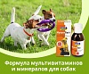 Мульти Буст комплексная витаминная добавка для собак, раствор 150мл, MultiBoost Liquid for Dogs, INFORM NUTRITION