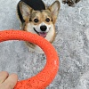 Игрушка для собак ДОГЛАЙК - КОЛЬЦО ВОСЬМИГРАННОЕ, Ø20см, оранжевое, D-2614, DOGLIKE Tug&Twist